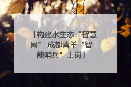 构建水生态“智慧网” 成都青羊“智能哨兵”上岗