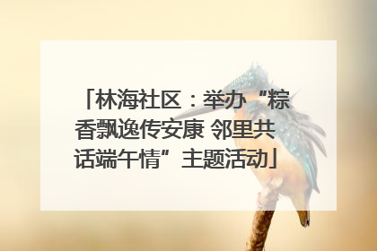 林海社区：举办“粽香飘逸传安康 邻里共话端午情”主题活动