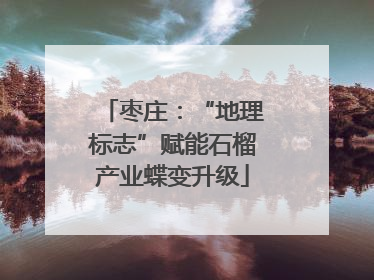 枣庄：“地理标志”赋能石榴产业蝶变升级