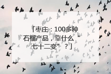 枣庄：100多种石榴产品，靠什么“七十二变”？
