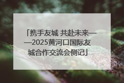 携手友城 共赴未来——2025黄河口国际友城合作交流会侧记