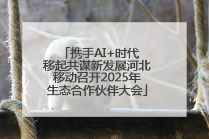 携手AI+时代 移起共谋新发展河北移动召开2025年生态合作伙伴大会