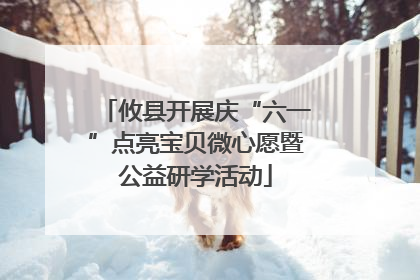 攸县开展庆“六一”点亮宝贝微心愿暨公益研学活动