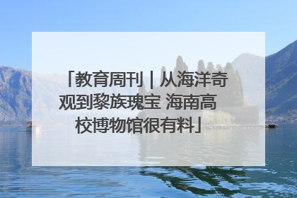 教育周刊｜从海洋奇观到黎族瑰宝 海南高校博物馆很有料