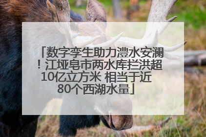 数字孪生助力澧水安澜！江垭皂市两水库拦洪超10亿立方米 相当于近80个西湖水量