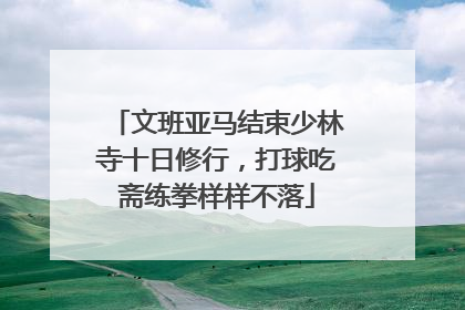 文班亚马结束少林寺十日修行，打球吃斋练拳样样不落