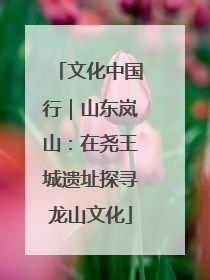 文化中国行｜山东岚山：在尧王城遗址探寻龙山文化