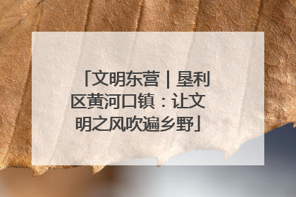 文明东营｜垦利区黄河口镇：让文明之风吹遍乡野