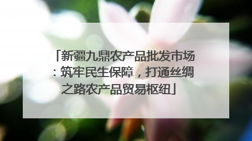 新疆九鼎农产品批发市场：筑牢民生保障，打通丝绸之路农产品贸易枢纽