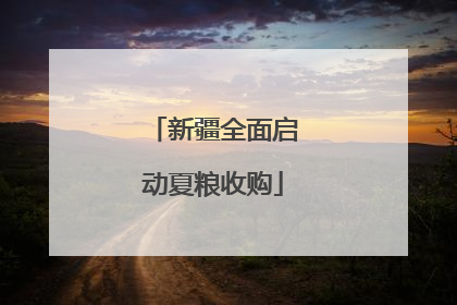新疆全面启动夏粮收购
