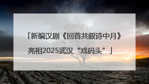 新编汉剧《回首共叙诗中月》亮相2025武汉“戏码头”