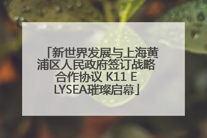 新世界发展与上海黄浦区人民政府签订战略合作协议 K11 ELYSEA璀璨启幕