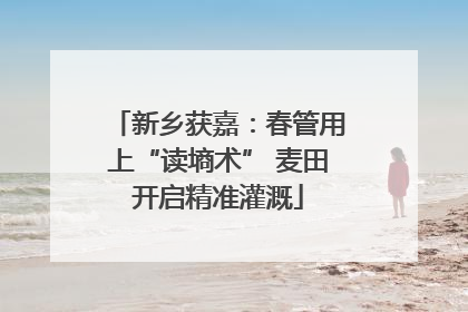 新乡获嘉：春管用上“读墒术” 麦田开启精准灌溉