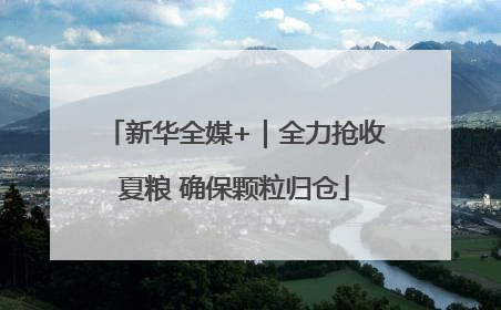 新华全媒+｜全力抢收夏粮 确保颗粒归仓