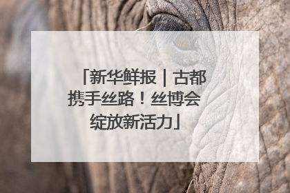 新华鲜报｜古都携手丝路！丝博会绽放新活力
