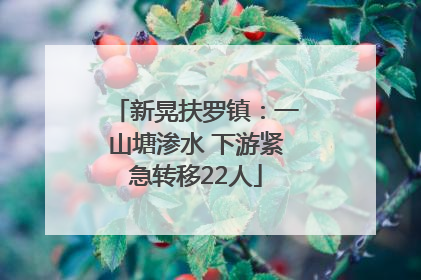新晃扶罗镇：一山塘渗水 下游紧急转移22人