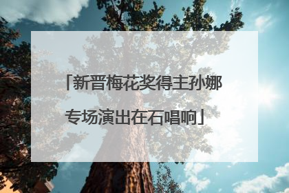 新晋梅花奖得主孙娜专场演出在石唱响