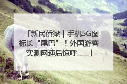 新民侨梁｜手机5G图标长“尾巴”！外国游客实测网速后惊呼……