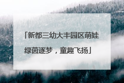 新都三幼大丰园区萌娃绿茵逐梦，童趣飞扬