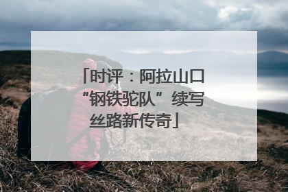 时评：阿拉山口“钢铁驼队”续写丝路新传奇