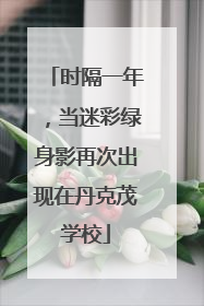时隔一年，当迷彩绿身影再次出现在丹克茂学校