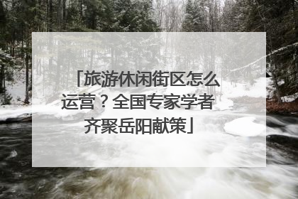 旅游休闲街区怎么运营？全国专家学者齐聚岳阳献策