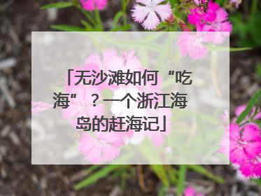 无沙滩如何“吃海”？一个浙江海岛的赶海记