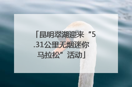 昆明翠湖迎来“5.31公里无烟迷你马拉松”活动