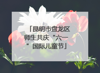 昆明市盘龙区师生共庆“六一”国际儿童节