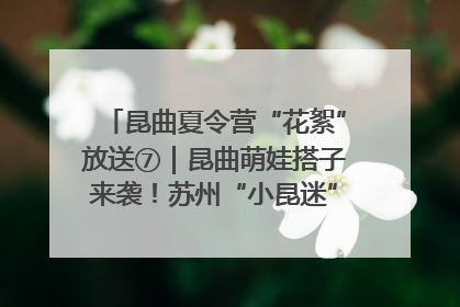 昆曲夏令营“花絮”放送⑦｜昆曲萌娃搭子来袭！苏州“小昆迷”姐弟期待同台演绎“姑苏水磨调”