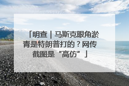 明查｜马斯克眼角淤青是特朗普打的？网传截图是“高仿”