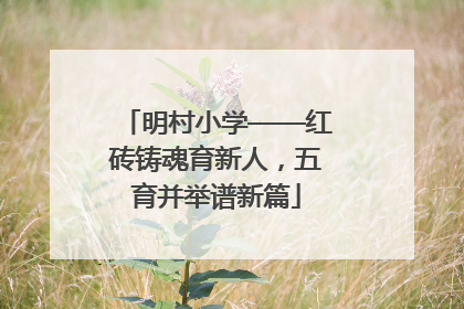 明村小学——红砖铸魂育新人，五育并举谱新篇