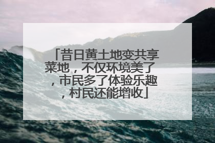 昔日黄土地变共享菜地，不仅环境美了，市民多了体验乐趣，村民还能增收