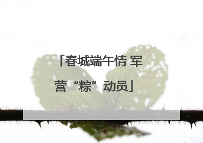 春城端午情 军营“粽”动员