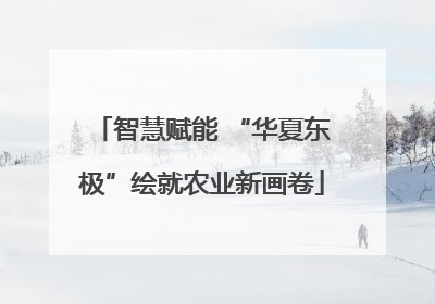 智慧赋能 “华夏东极”绘就农业新画卷