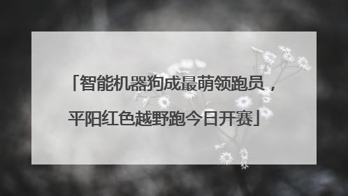智能机器狗成最萌领跑员，平阳红色越野跑今日开赛