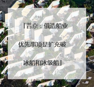 普京：俄造船业优先事项是扩充破冰船和冰级船