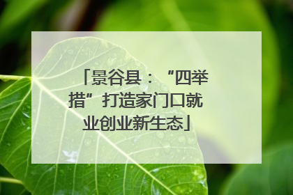 景谷县：“四举措”打造家门口就业创业新生态
