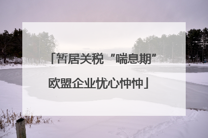 暂居关税“喘息期” 欧盟企业忧心忡忡