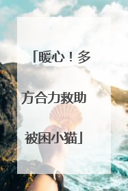 暖心！多方合力救助被困小猫
