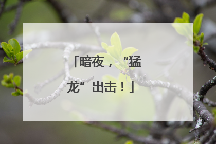 暗夜，“猛龙”出击！