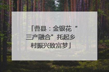 曹县：金银花“三产融合”托起乡村振兴致富梦