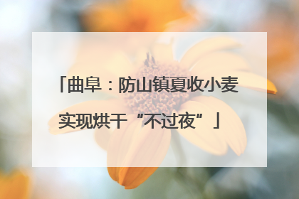 曲阜：防山镇夏收小麦实现烘干“不过夜”
