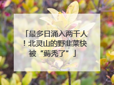 最多日涌入两千人！北灵山的野韭菜快被“薅秃了”
