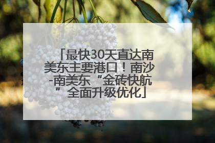 最快30天直达南美东主要港口！南沙-南美东“金砖快航”全面升级优化