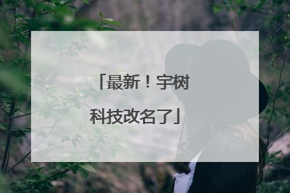 最新！宇树科技改名了