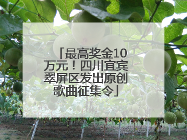 最高奖金10万元！四川宜宾翠屏区发出原创歌曲征集令