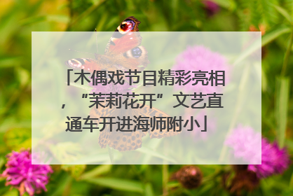 木偶戏节目精彩亮相，“茉莉花开”文艺直通车开进海师附小