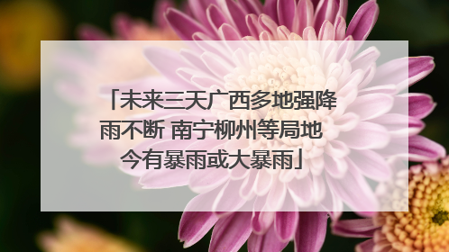未来三天广西多地强降雨不断 南宁柳州等局地今有暴雨或大暴雨