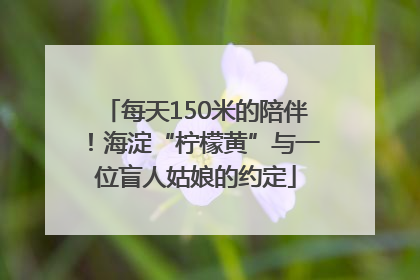 每天150米的陪伴！海淀“柠檬黄”与一位盲人姑娘的约定
